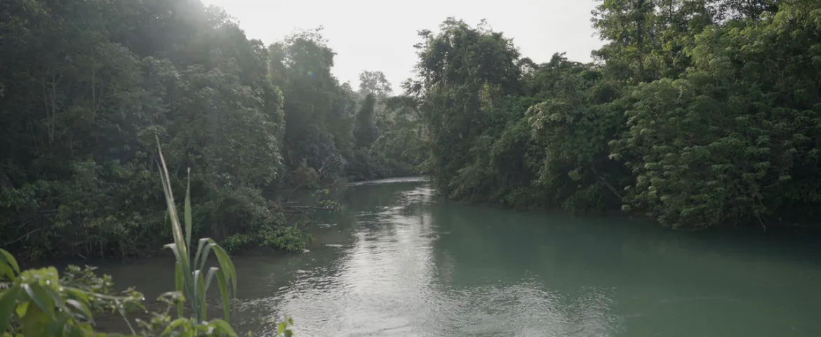 NEMIE River 2