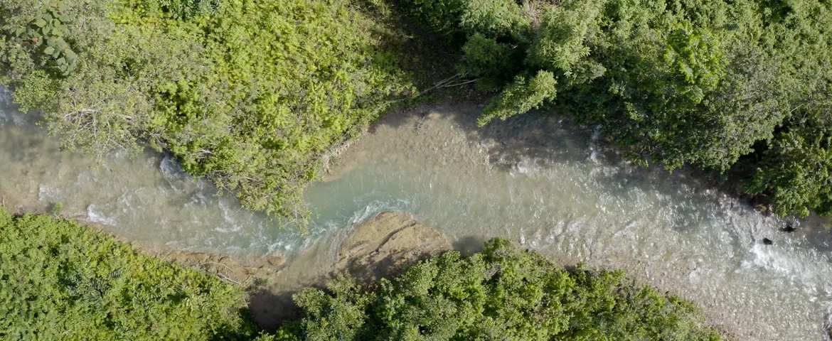 NEMIE River 3