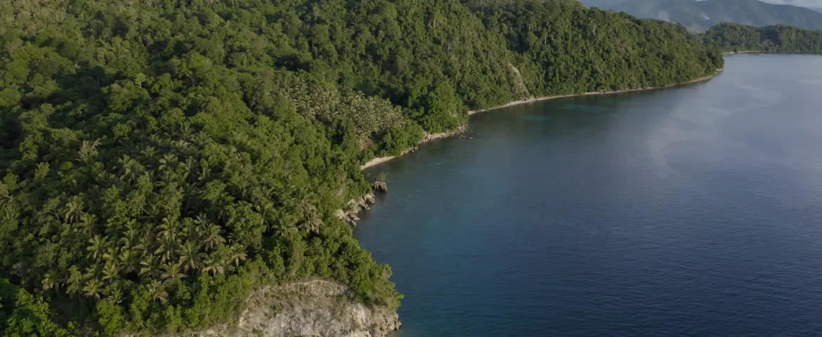 MDK Coastline