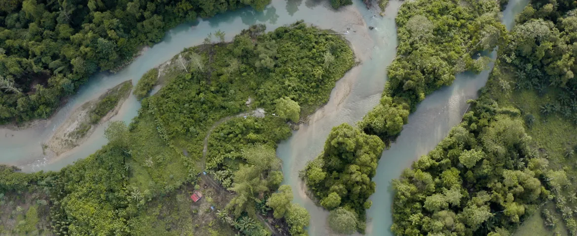 NEMIE River 4