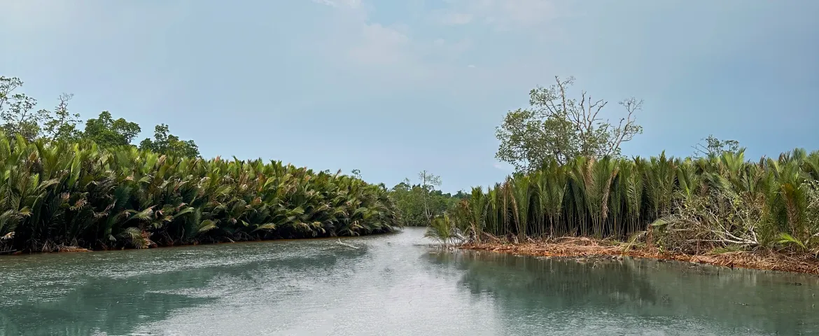 NEMIE River